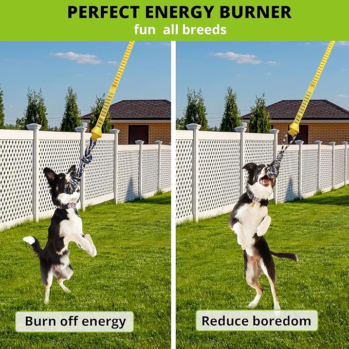 Dog Hanging Bungee Tug Toy: Interactive Tether Tug-of-War for Pitbull Small to Large Dogs to Exercise and Fun Solo Play - Durable Retractable Tugger Dog Rope Toy with 2 Chew Rope Toys