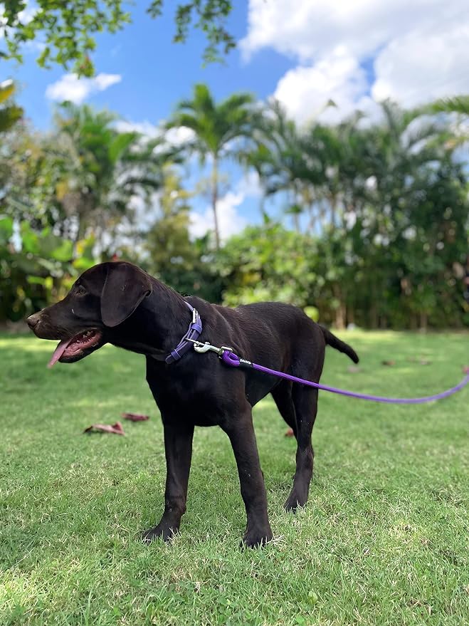 Tuff Pupper Heavy Duty 30 Foot Long Rope Leash for Dogs | Dog Recall Training Lead | High Visibility Strong Climbing Rope Leash | Hand or Waist Worn | Stainless Steel 360° Clips for Tangle Free Use