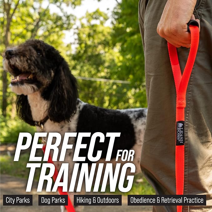 Leash Boss Free Range - Long Dog Leash for Large Dogs + Drawstring Backpack - 1 Inch Nylon Training Lead with Padded Handle (Black) (100 Ft)