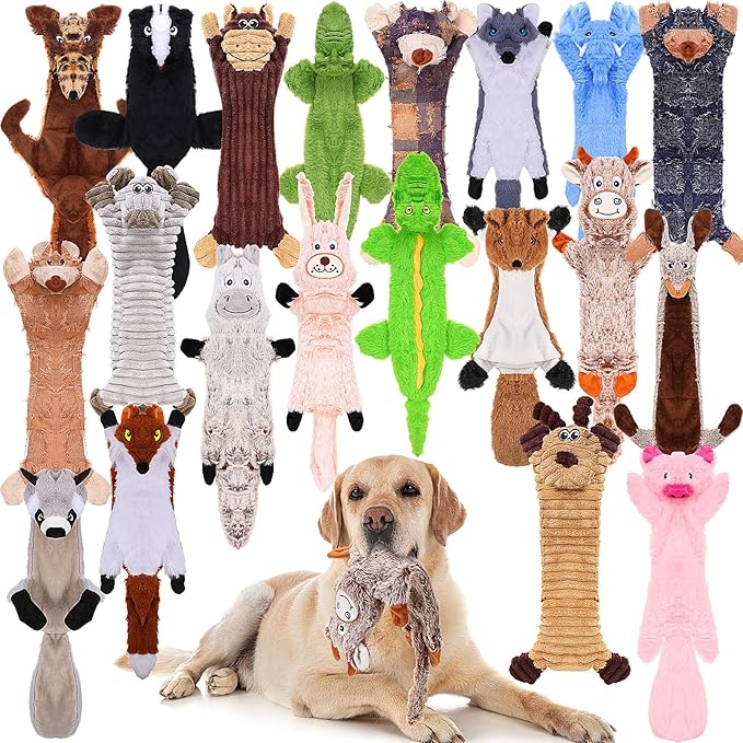 Outus 20 Pcs No Stuffing Dog Squeaky Toys Bulk for Aggressive Chewers, Crinkle Teething Chew Plush Toys for Small Medium Large Pet Gift, 20 Styles(Classic Style)