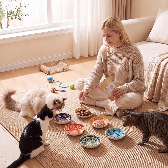 Ceramic Cat Bowls Set of 6 - Colorful Cute Shallow Cat Dishes - Great for Multi-Pet Homes - 5.6 Inch, Whisker Friendly and Wide - Microwave & Dishwasher Safe - 5.3 oz (185 ml)