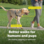 PetSafe Easy Walk No-Pull Dog Harness - Ultimate Harness to Help Stop Pulling - Pull-Free Walks - Take Control & Teach Better Leash Manners - Patented Martingale Loop Design - Apple Green, Medium