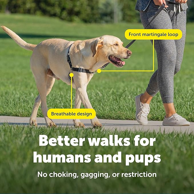 PetSafe Easy Walk Harness for Dogs - Pull-Free Walks - Patented Martingale Loop Design - Front Chest Leash Attachment - Comfort Straps - Breathable Harness Design - Medium, Red/Black