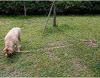 Waterproof Long Dog Leash Recall Training Lead 5 10 16 30 50 Foot for Large Medium Small Dogs Outdoor Training Walking Playing and Camping