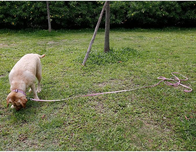 Waterproof Long Dog Leash Recall Training Lead 5 10 16 30 50 Foot for Large Medium Small Dogs Outdoor Training Walking Playing and Camping