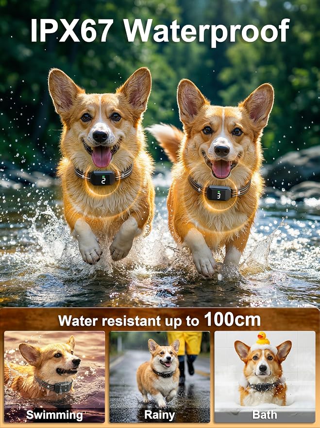 Small Shock Collar for 2 Dogs(5-100Lbs), Shock Collar with Remote | 3 Channels, IP67 Waterproof, Rechargeable, Dog Training Collar with Control, Beep/Vibration/Safe Shock, for Small/Medium Dogs