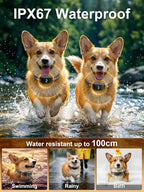 Small Shock Collar for 2 Dogs(5-100Lbs), Shock Collar with Remote | 3 Channels, IP67 Waterproof, Rechargeable, Dog Training Collar with Control, Beep/Vibration/Safe Shock, for Small/Medium Dogs