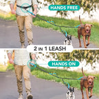 PetAmi Hands Free Double Dog Leash with Padded Lumbar Waist Belt, 360 No-Tangle Swivel Coupler, Bungee Shock Absorbing Dual Leash for Two Dogs Medium Large, Reflective, Turquoise