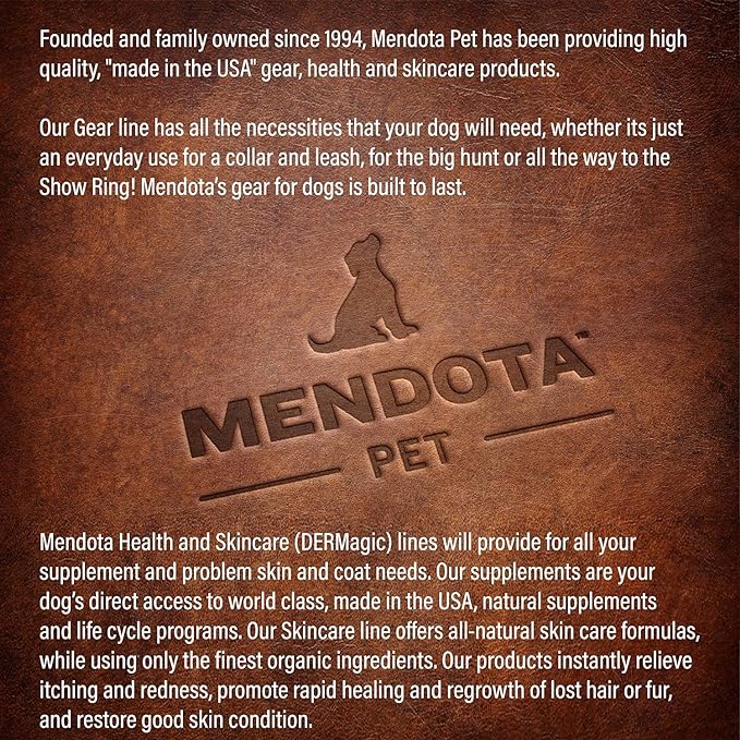 Mendota Pet Slip Leash - Dog Lead and Collar Combo - Made in The USA - Diamond Sandstone, 3/8 in x 6 ft - for Small/Medium Breeds