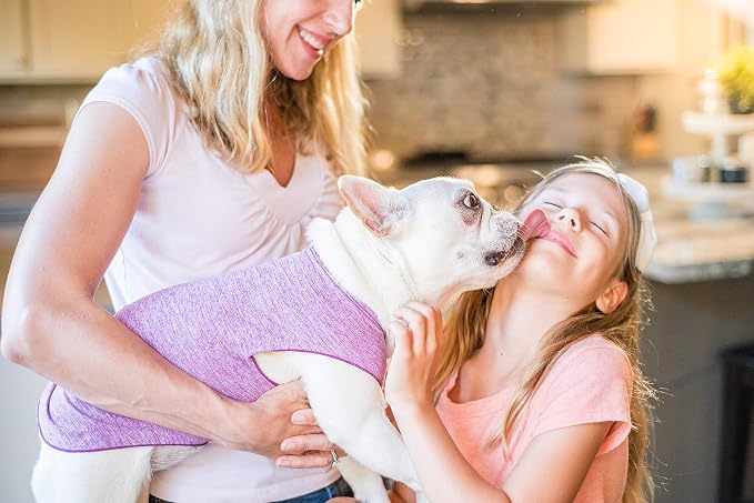 Gold Paw Sun Shield Dog Tee – T-Shirt for Canines – UV Protection, Pet Anxiety Relief, Wound Care – Protects Against Foxtails, Aids Alopecia - Machine Washable, All Season – Size 2 – Violet