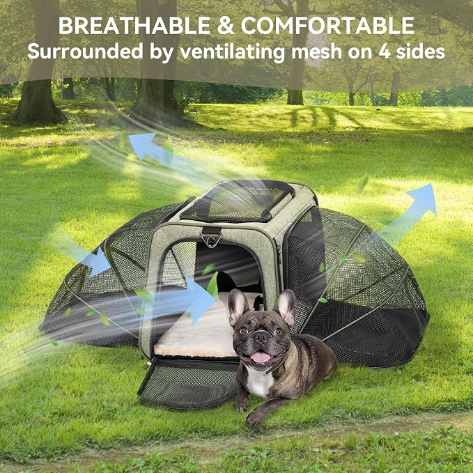 Petsfit Large Double Expandable Cat Carrier for Large Cats and Small Dogs | 19 x 12 x 12 in; dual-side expansion for large cats and small dogs, with anti-sag frame and locking zippers; up to 18 lb.