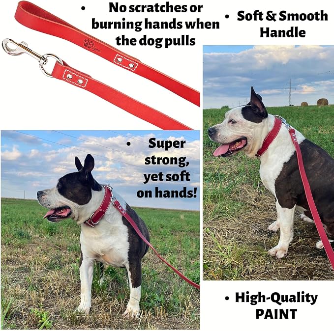 ADITYNA Red Leather Dog Leash for Large & Extra-Large Dogs, 6ft x 1" | Soft yet strong leather leash for walking, training, hiking — great for Great Dane, Rottweiler, Cane Corso, Mastiff.