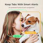 Petcube Cam – Indoor Wi-Fi Pet & Security Camera with App | 1080p HD video, 2-way audio, night vision, smart alerts for dog, cat & home security monitoring