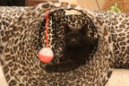 3 Way Cat Tunnel. Extra Large 12 Inch Diameter and Extra Long. A Big Collapsible Play Toy. Wide Pet Tunnel Tube for Rabbits, Kittens, Large Cats, and Dogs (Animal Print)