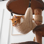 Modern Cat Tree for Indoor Large Cats & Multi-Cat Households, 68'' Solid Wood Cat Tower with 3 Condos, Heavy Duty Cat Tower with Scratching Post, Multi-Level Cat House, Perch, Hammock, Hideaway, Brown