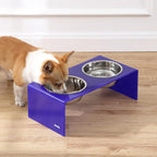 DBL2001F Keaton 7.5" Medium/Large Modern Acrylic Rectangular Elevated Pet Feeder with 54oz 2-Stainless Steel Bowls, Purple/Chrome