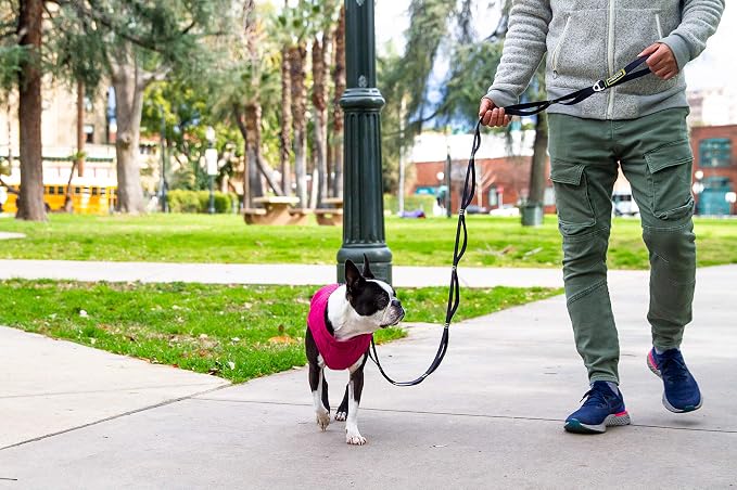 Gooby Puffer Vest - Turquoise, Small - Ultra Thin Zip Up Wind Breaker Leash - Water Resistant Dog Sweater Coat - Boy or Medium Dogs
