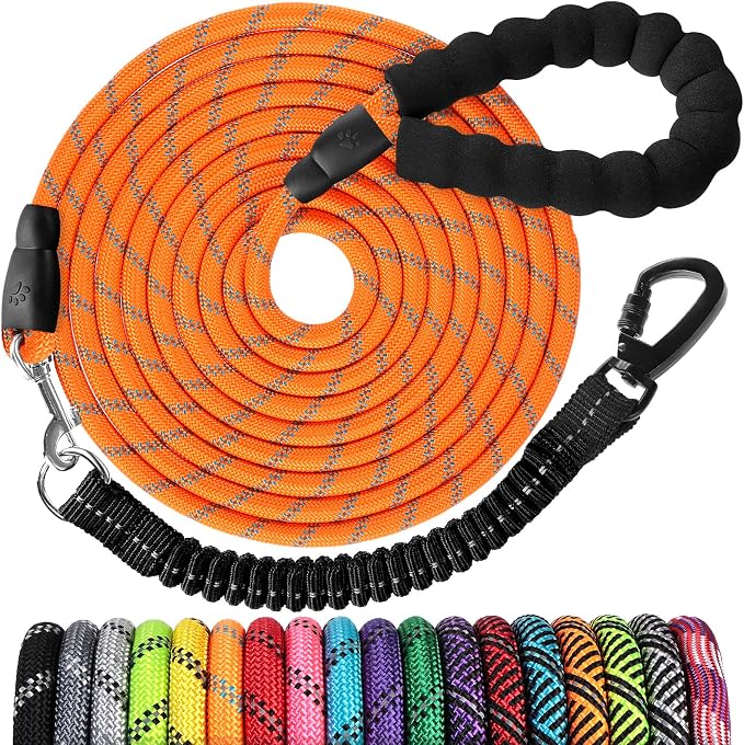 Long Dog Leash 100 FT: Heavy Duty Rope Leashes for Dogs Training with Swivel Lockable Hook Reflective Threads Bungee and Padded Handle - Dog Lead for Large Small Medium Dogs Outside Walking Hiking