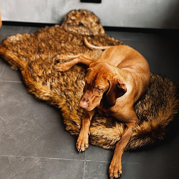 Faux Fur Orthopedic Dog Bed, Memory Foam, Brown 50"x30" | Plush Washable Dog Rug with Waterproof Machine Washable Cover, Calming for Anxious Senior Dogs, Relieves Joints