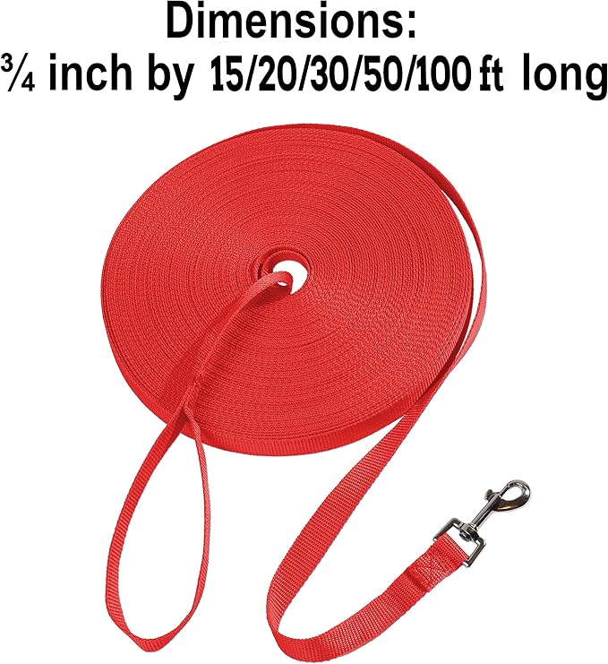 Hi Kiss Dog/Puppy Obedience Recall Training Agility Lead - 15ft 20ft 30ft 50ft 100ft Training Leash - Great for Training, Play, Camping, or Backyard (30 Feet, Red)