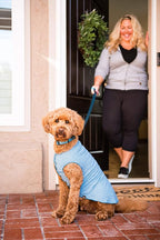 Gold Paw Sun Shield Dog Tee – T-Shirt for Canines – UV Protection, Pet Anxiety Relief, Wound Care – Protects Against Foxtails, Aids Alopecia - Machine Washable, All Season – Size 30 – Ocean Blue