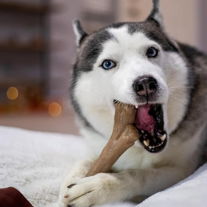 Nylabone Strong Chew Gourmet Style Stick Dog Chew Toy, Peanut Butter Flavor | X-large breeds, durable chew toys, long lasting, encourages healthy chewing, helps clean teeth, for dogs 50+ lbs