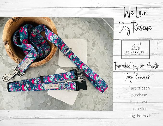 Lucky Love Dog - Adjustable Dog Collar with Easy Click Buckle for Small Ones, Durable, & Comfortable for Male & Female Dogs, Pet Collar for Puppies & Adult Dogs - Carriebelle, XS