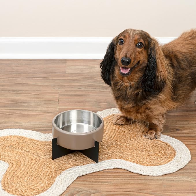 Ripple Ridge 16oz (2 Cups) Small/Medium Slanted Pet Feeder with Weighted Concrete Base and Removable Stainless Steel Bowl, Non-Slip Dishwasher Safe for Dogs, Cats, Pink DBL3001A