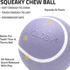 Playology Dog Toys | Squeaky Chew Ball for Dogs, Value 3-Pack | Lamb Scented Small Dog Balls | Bouncy Floating Chew Toys for Fetch