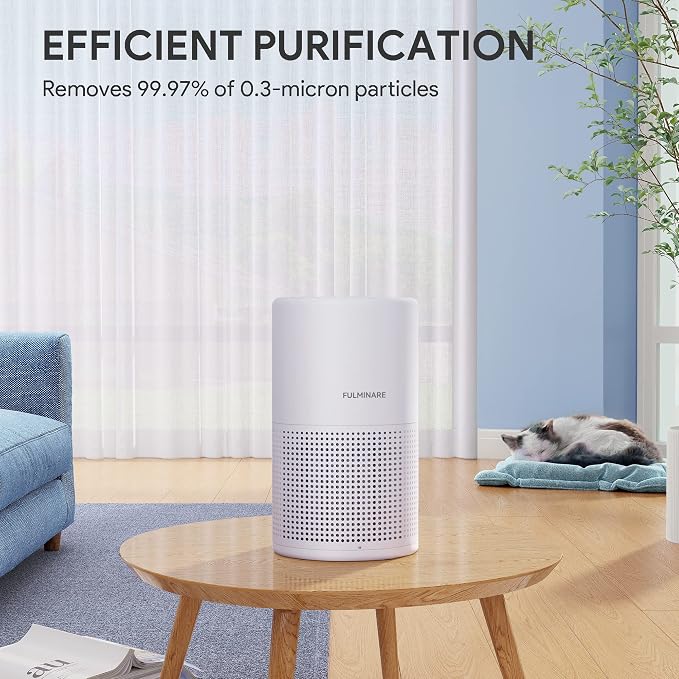 FULMINARE Air Purifiers for Bedroom H13 True HEPA Air Filter Quiet Air Cleaner With Night Light Portable Small Air Purifier for Home, Office, Living Room (White 2 Pack) | Remove Pet Hair, Smoke, Odors，Quiet Air Cleaner With Night Light, Portable Small ...