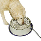 K&H Pet Products Thermal-Bowl Heated Water Bowl for Cats & Dogs Outside, Safety Listed Outdoor Heated Dog Dish for Pets, Automatic No Freeze, Anti Chew Cord - 102 Ounces Stainless 25W | Outdoor Water Stays Unfrozen In Winter. Outdoor Heated Dog Dish fo...