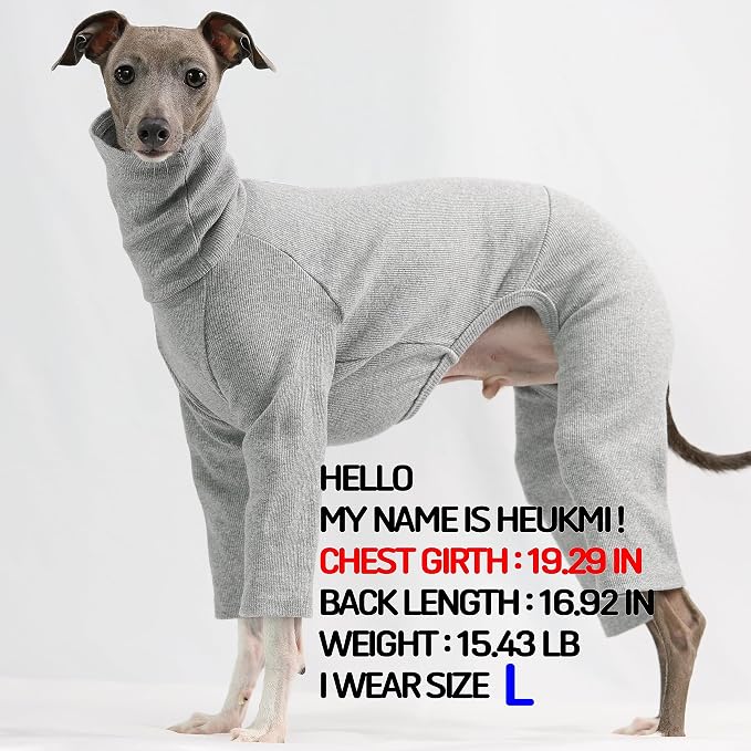D Doggy Star Italian Greyhound Clothes Stretchable Onesie Whippet for Dog (L,Ribbed Grey)