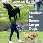6 Foot Dog Leash, Two Extra Padded Handles, Locking Carabiner Clip, Reflective for Night Visibility, Weatherproof, Heavy Duty Rope Leash, Roam Gear (Black)