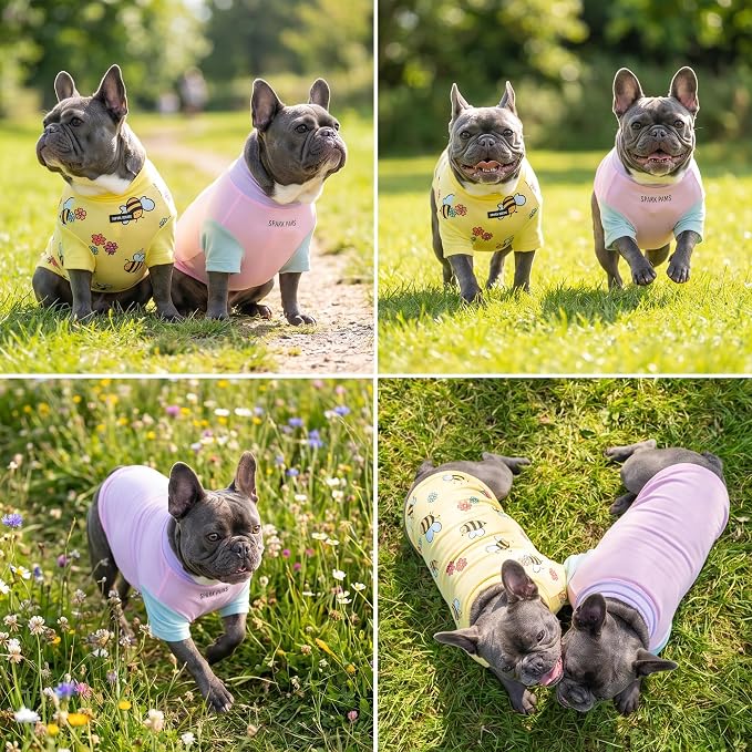 Spark Paws Sunblock Dog T-Shirt, SPF30 Protection, Lightweight Breathable Quick Dry for Dogs with Sensitive Skin - Bees & Gelato (Set of 2) - Size S