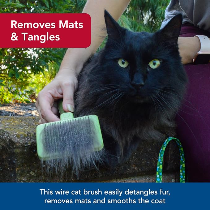 Coastal Pet Safari - Cat Self-Cleaning Slicker Brush - Cat Grooming Supplies