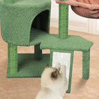 Wang Xin Three Layer Cat Tree with Cat Condo Scratch Pad and Two Hammocks,Green …