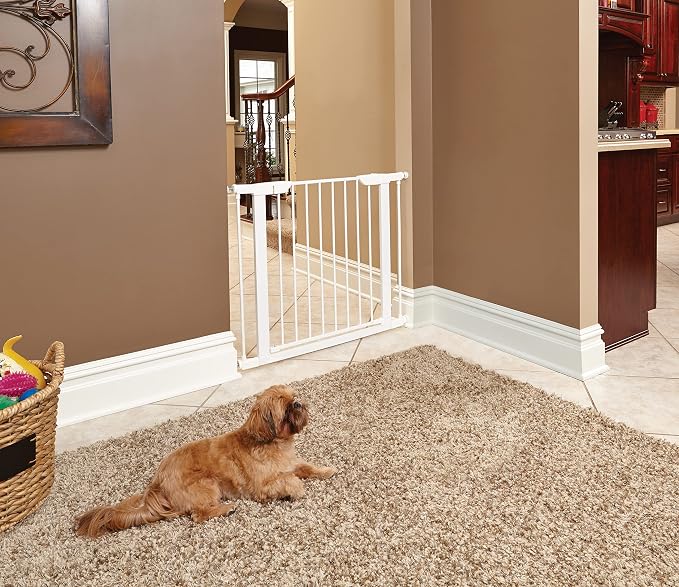 Midwest 39" Steel Walk-Thru Dog Gate, White | Pressure Mounted, Expands 29.5"- 38" Wide, Auto-Close Door, Spring-Loaded Latch, Includes Two 3" Extensions