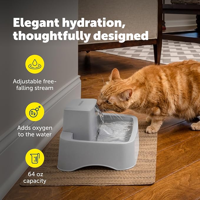 PetSafe Oasys Pet Fountain, 1/2 Gallon, Cats & Small Dogs, 4-Pack Filters | Adjustable Flow Control, Open Bowl, Whisker-Friendly Tray, Replaceable Carbon & Foam Filters Included