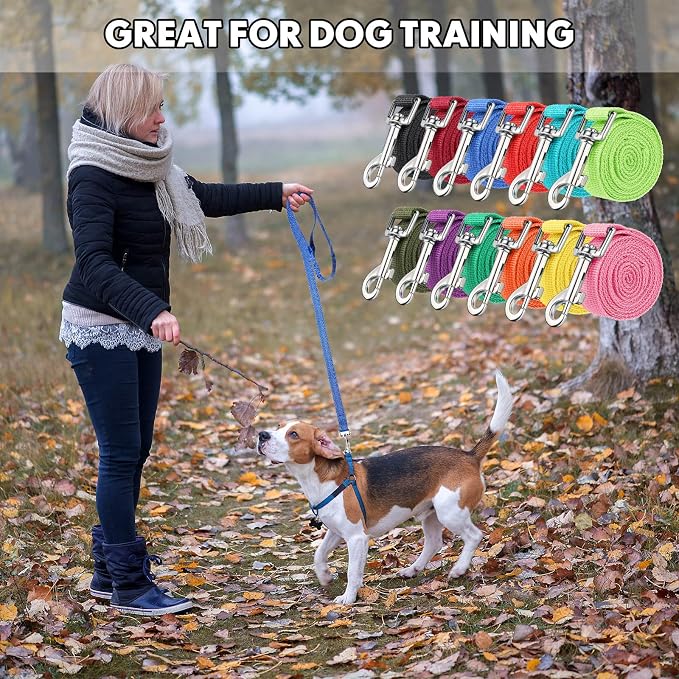 24 Pack Nylon Dog Training Leash Bulk 5 ft Dog Leash for Small and Medium Puppy Traction Rope for Training, Play, Camping, or Backyard, 12 Assorted Colors(Bright Colors)