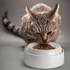 CatGuru Cat Bowls, Original Whisker-Friendly Pet Bowl for Wet & Dry Food | Wide, shallow food dish lets cats reach every bite comfortably reducing food waste. Nonslip. Dishwasher safe/ Ceramic