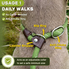 Fida Durable Slip Lead Dog Leash, 6 FT x 3/8" Heavy Duty Comfortable Strong Rope Slip Lead for Small Dogs and Puppies, No Pull Pet Training Leash with Highly Reflective(3/8", Green)