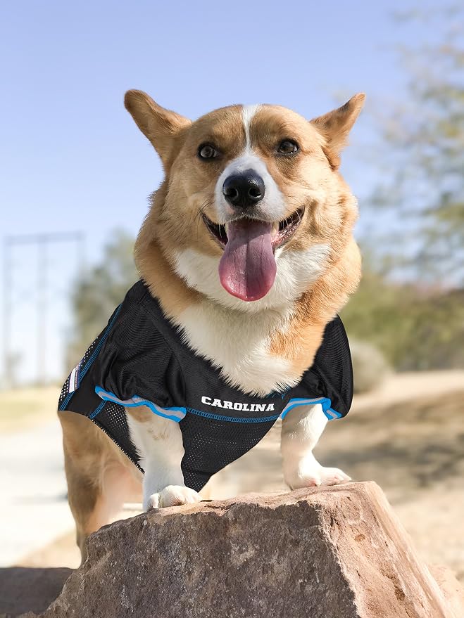 NFL CAR-4006-SM CAROLINA PANTHERS DOG Jersey, Small