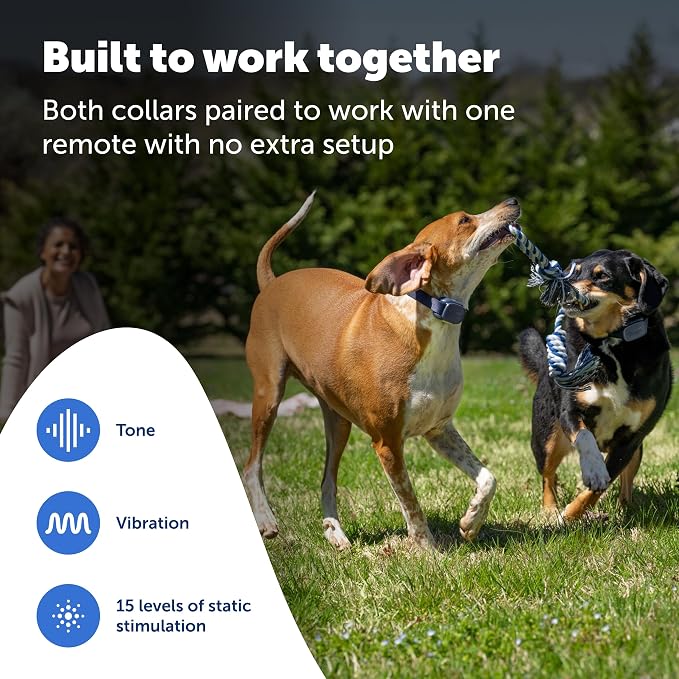 PetSafe Core Dog Trainer with Remote and Add-A-Dog Collar Waterproof Training Collar 1000-Foot Range Tone, Vibration and 15 Levels of Static Built-in LED Light