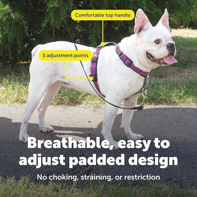 PetSafe 3 in 1 Dog Harness - No Pull Solution for Dogs - Reflective Dog Harness - Front D-Ring Clip Helps Stop Pulling - Comfortable Padded Straps - Top Handle Enhances Control - Plum - Small