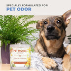 Pet House Pet Friendly Candle Plant Based Scented Candle Clean Burning, Long Lasting for Home, Sugar Cookies 2 Pack