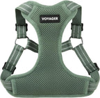 Voyager Step-in Flex Adjustable Dog Harness - Moss Green, Medium | 17 - 21" in Chest, Fully Adjustable, Reflective Bands, All Weather Breathable Air Mesh, Lightweight, Fast Drying