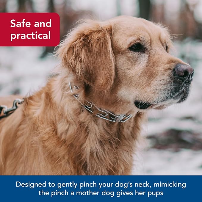 Herm Sprenger Ultra-Plus Prong Dog Training Collar, Chrome, 3.25 mm x 20" Neck Size; 22" Chain Length