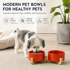 Petygooing Dog Bowls,Ceramic Cat Dog Bowl Set with Wood Stand for Food and Water,Non-Slip Cute Modern Pet Dish for Cats Small Size Dogs Puppy (13.5OZ/5.1 in) Rust Red