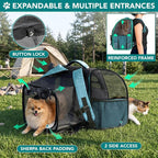 PetAmi Expandable Dog Backpack Carrier for Cats & Pets, Breathable Cat Carrier Backpack with Top Window & Multi-Entry, Ventilated Foldable Travel Carrier for Small Medium Pets up to 18 lbs, Teal Blue
