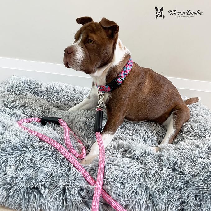 Warren London Climbing Rope Dog Leash – 5 ft Tough-Love Rope Lead w/Soft Grip & Locking Clip | Hot-Pink Statement Leash for Stylish Dogs & Puppy Training